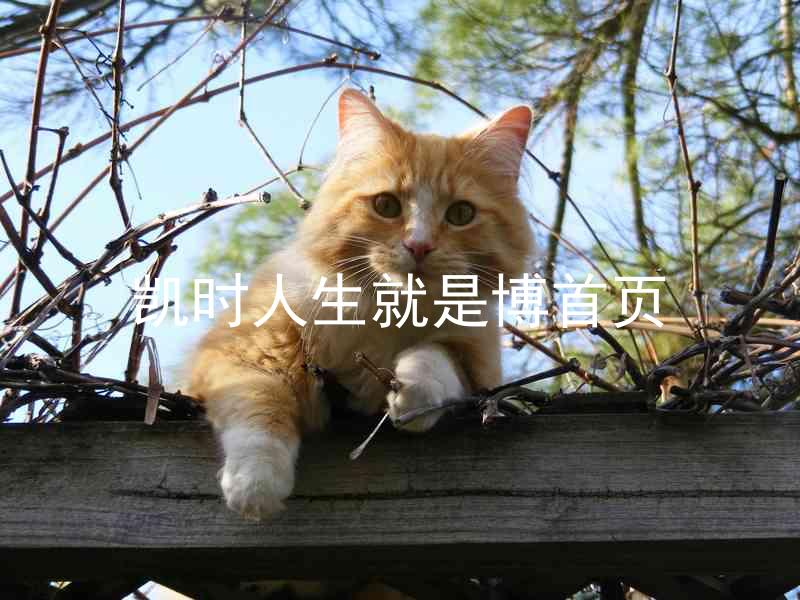 凯时人生就是博首页